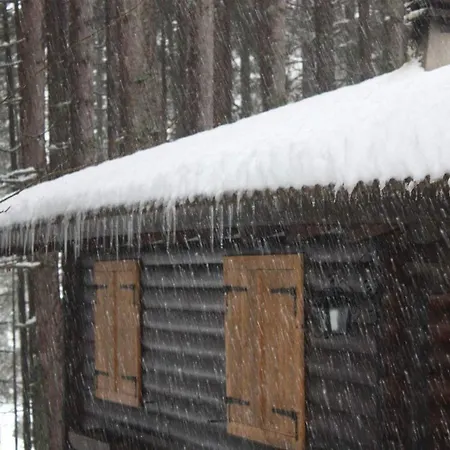 Chalet del bosco *